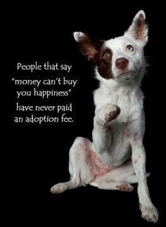 a dog sitting on its hind legs with the caption saying people that say money can't buy you happiness have never paid an adoption fee