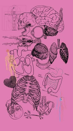 anatomy, wallpaper, chaos, medicine, medical, human, human anatomy How To Draw Graffiti, Anatomy Wallpaper, Medical Artwork, System Wallpaper, Graffiti Letters, Medical Wallpaper, Human Anatomy Art, Drawing Letters