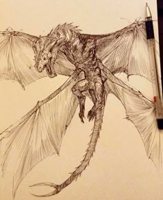 a drawing of a dragon with wings spread out