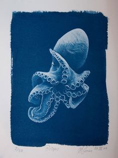 an ink drawing of an octopus on blue paper