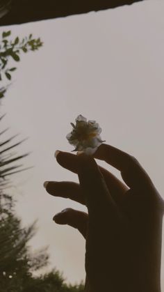 a person holding a flower in their hand with the sky in the backround