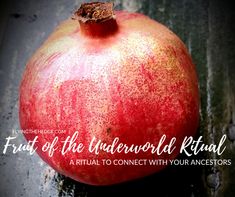 a red pomegranate with the words fruit of the underground ritual on it