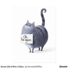 a gray cat holding a sign that says oh you again, with the caption