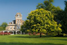 a large house with a tree in the foreground and flowers on the other side