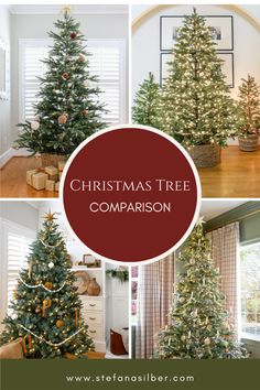 christmas tree comparison with text overlay