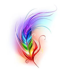 colorful feathers with swirls on white background