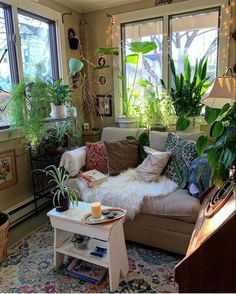 a living room filled with furniture and lots of plants on the windows sills