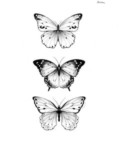 three butterflies are shown in black and white