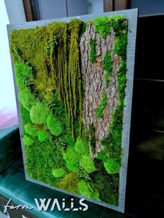 a moss covered wall hanging on the side of a building