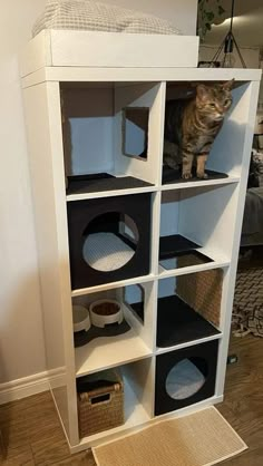 a cat sitting on top of a white book shelf filled with black and grey shelves