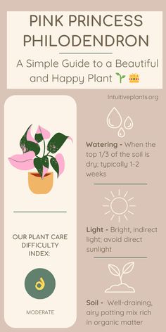 pink princess's guide to a beautiful and happy plant info sheet for the home