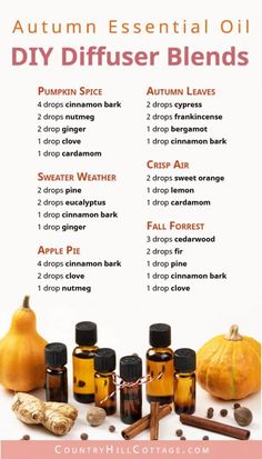 Fragrance Oil Recipes, Diy Diffuser Blends, Essential Oil Diy, Cosy Fall, Fall Essential Oils, Fall Diffuser Blends, Fragrance Oil Blends, Essential Oil Diffuser Blends Recipes, Diy Essentials