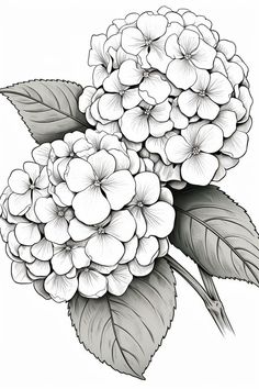 a black and white drawing of flowers with leaves