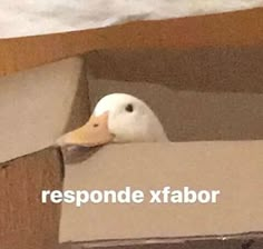 a white duck sticking its head out of a cardboard box