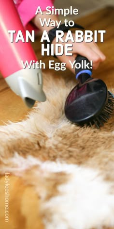 a woman using a hair brush to clean an animal's fur