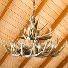 Whitetail Deer 15 Antler Chandelier Outdoor Themed Bedroom, Deer Antler Chandelier, Lodge Lighting, Antler Lights, Grand Entryway, Antler Chandelier, American Farmhouse, Country Living Magazine, Rustic Chandelier