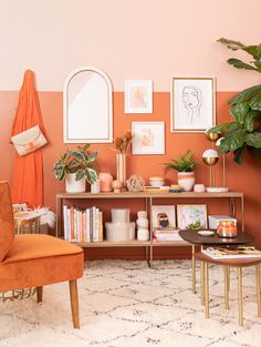 a living room with an orange chair and bookshelf filled with various plants on top of it