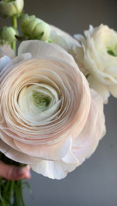 a person holding a bouquet of flowers in their hand