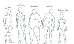 a drawing of different body shapes and sizes