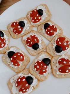 ladybug crackers are arranged on a white plate