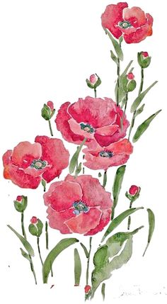 watercolor painting of red flowers on a white background