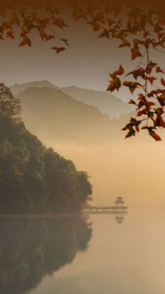 an image of a lake with trees in the background and fog on the water at sunset