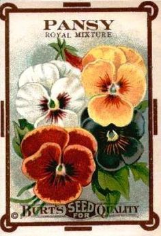 a postage stamp with pansy flowers on it