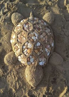 a turtle made out of rocks on the beach with shells in it's shell