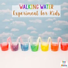 there are different colored liquids in buckets with the words walking water experiment for kids