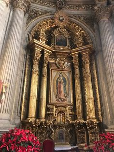 an ornate gold alter in a church with poinsettis