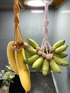 two bunches of bananas hanging from ropes