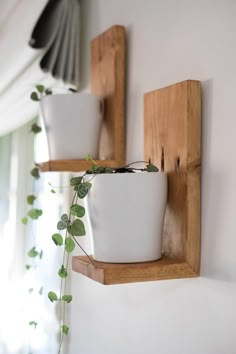 two white potted plants on wooden shelves