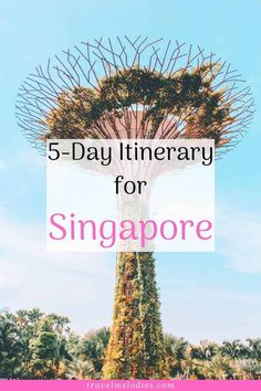 the top five things to see in singapore with text overlay that reads 5 - day itinerary for singapore