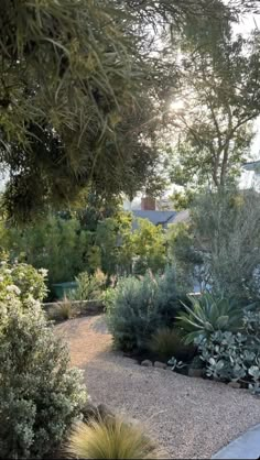 a garden with lots of trees and plants in it's center, surrounded by gravel