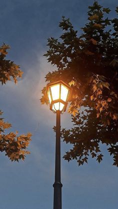 a street light is lit up in the evening sky with leaves on it's branches