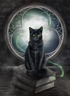 a black cat sitting on top of a book in front of a circular window with green eyes