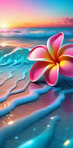 a pink flower sitting on top of a sandy beach next to the ocean at sunset