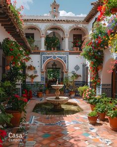 an outdoor courtyard with potted plants and flowers