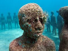 an underwater photo of a man's head in the water with people standing around him