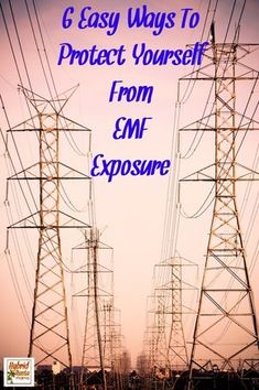 EMFs are all around us. But that doesn't mean you need to suffer from EMF exposure. Check out these 6 easy ways to protect yourself and your loved ones from EMF exposure. From HybridRastaMama.com Holistic Tips, Shungite Stones, Emf Radiation, Emf Protection, Protection Crystals, Survival Mode, Home Protection