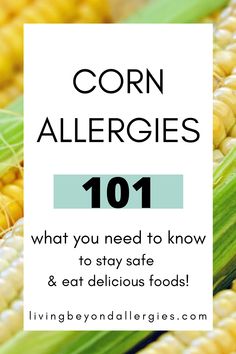 corn allergies 101 what you need to know and eat delicious foods with text overlay