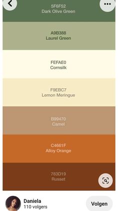 the color scheme for different shades of brown, green and yellow in an iphone app