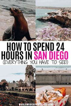 the words how to spend 24 hours in san diego, everything you have to see