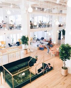 two people sitting on couches in an open office with lots of windows and plants