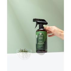 This Rosemary-infused Spray is designed to enhance hair density. Our Rosemary Water helps the ingredients penetrate deeper and faster into the scalp, thanks to sub-micron technology. Infused with the soothing aroma of Rosemary and Peppermint Oil.The As I Am Rosemary-infused water offers a triple benefit: it fortifies hair, increasing strength by 30%, while also providing exceptional moisture, benefiting both hair (up to 36%) and the scalp (up to 55%). Reduces Scalp Transepidermal Water Loss by 3 Rosemary Mint Hair Growth Spray, Rosemary Scalp Spray, Rosemary Oil In Shampoo, Rosemary Conditioner, Aromatica Rosemary Shampoo, Rosemary Water, Endocrine Disruptors, Rosemary Oil, Hair Density