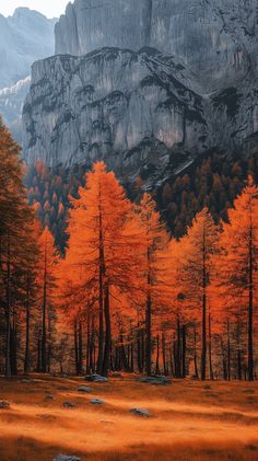 an orange forest with mountains in the background