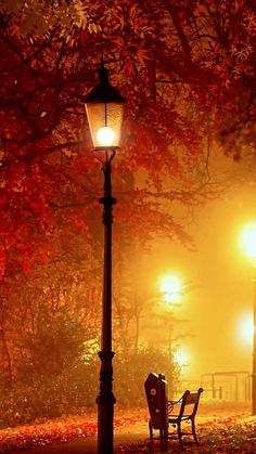 two park benches and a lamp post in the fog