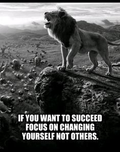 a lion standing on top of a rock in the middle of a field with other animals