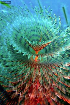 an abstract image of green and red plants with long stems in the center, viewed from below