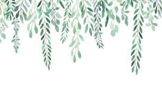 watercolor painting of green leaves and branches on a white background with space for text